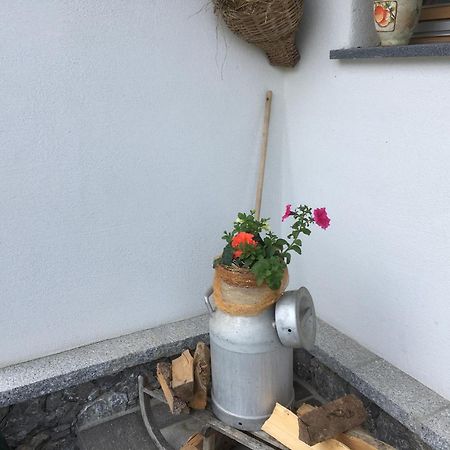 Chalets Aue Hart im Zillertal Εξωτερικό φωτογραφία